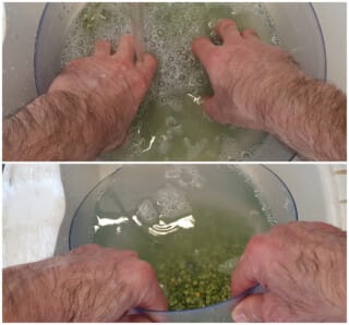 Soupe de pois cassés - Instruction 0