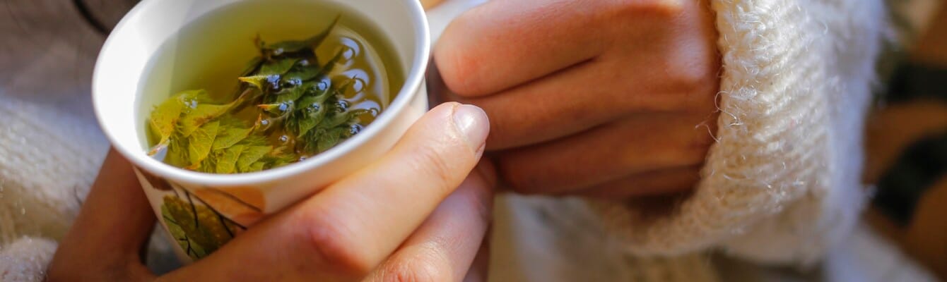 The Best Herbal Teas to Boost Your Immune System in Winter