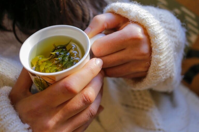Les meilleures infusions pour renforcer son système immunitaire en hiver Les meilleures infusions pour renforcer son système immunitaire en hiver