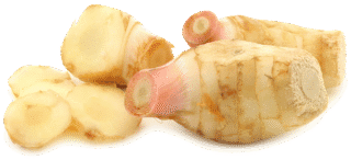 Image de galangal