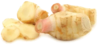 Image de galangal
