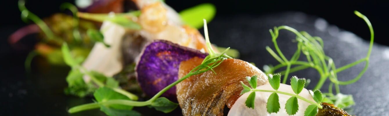 Cooking recipes for all skill levels