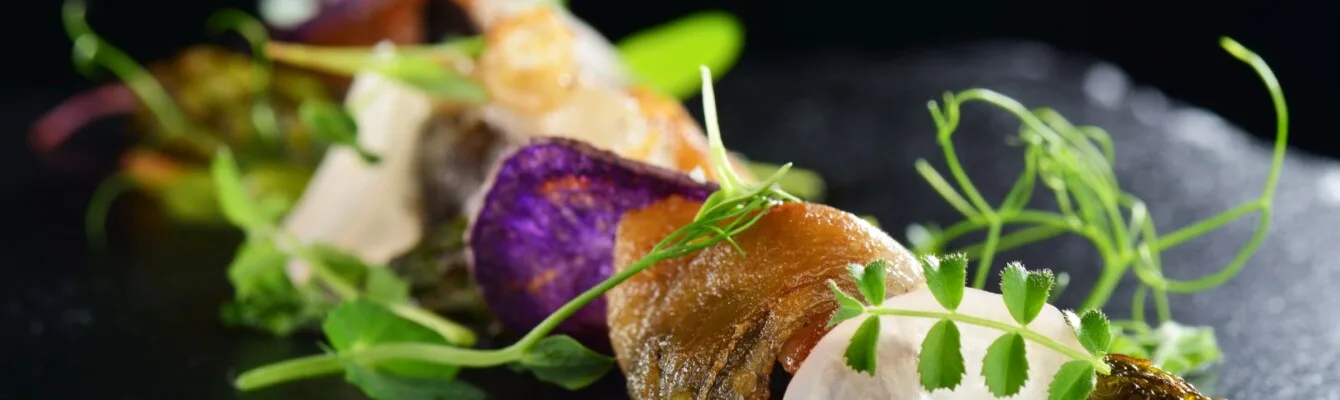 Cooking recipes for all skill levels