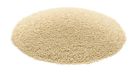 Levure déshydratée de boulanger