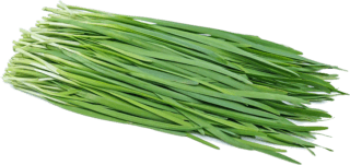 Image de Thai chives