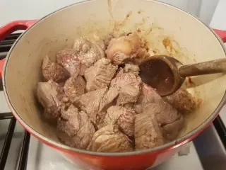 20190310_201956 (Petit) Faire colorer la viande