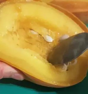 20200108_225010 (Petit)