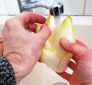 20200119_125816 (Petit)