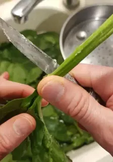 Samosa aux épinards