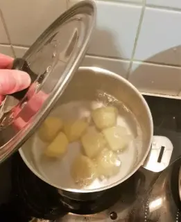 Samosa aux épinards