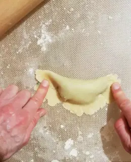 Samosa aux épinards