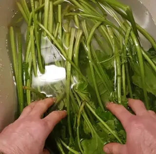 Gâteau d&rsquo;épinards