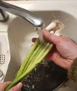 Omelette à l’aillet Omelette à l’aillet