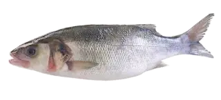 Flounder in the Kitchen: Origins, Nutritional Value, and Preparation