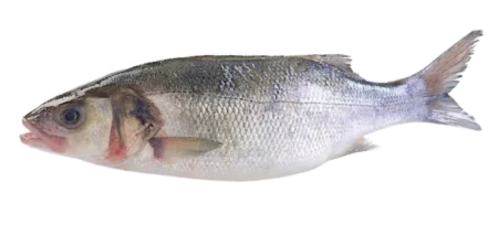 Poisson