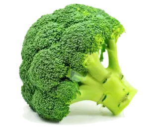 Broccoli in the Kitchen: Season, Nutritional Value, and Preparation