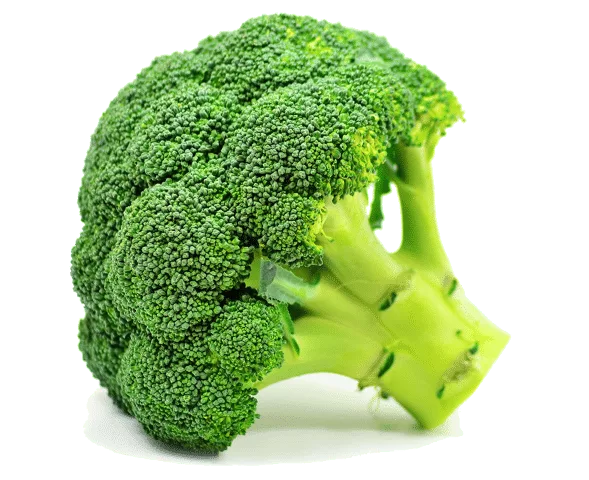 Image de broccoli