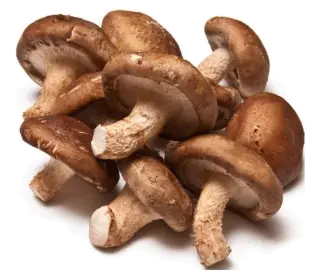 Image de Shiitake mushroom