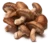 Image de Shiitake mushroom