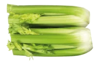 Coeur de Céleri Coeur de Céleri
