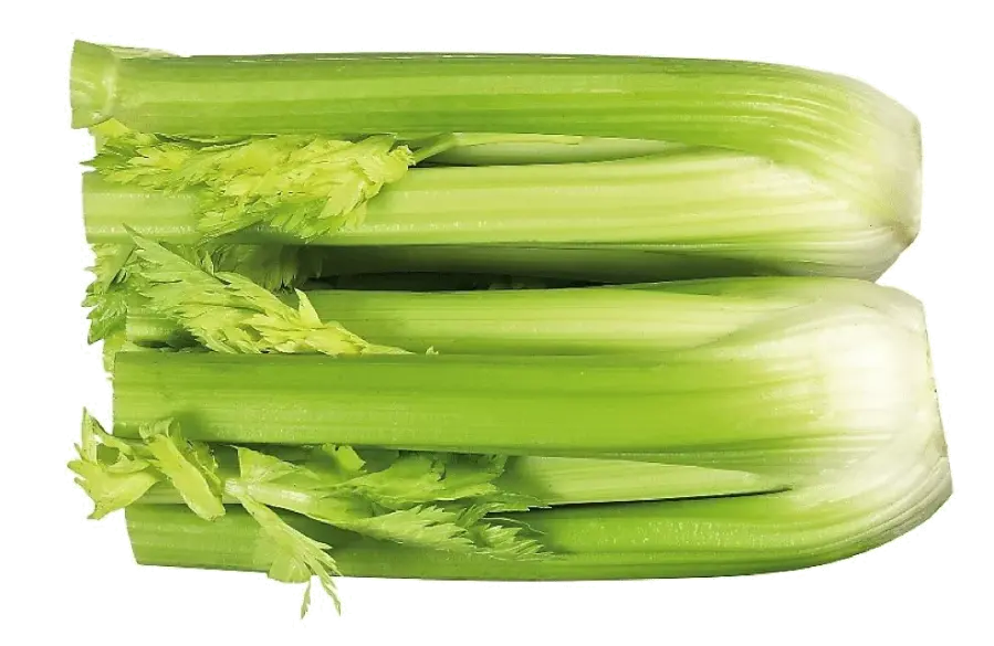 Celery Hearts in the Kitchen: Season, Nutritional Value, and Preparation