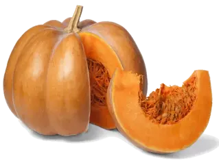 Squash in the Kitchen: Season, Nutrition, and Preparation