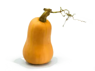 Image de butternut squash