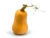 Image de butternut squash