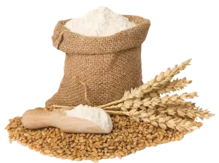 Image de whole wheat flour