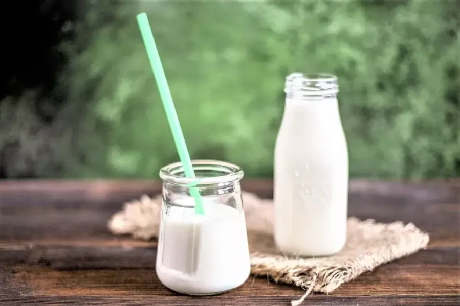 Fermented Milk or Buttermilk