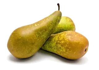 Image de Conference pear