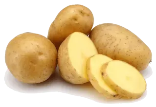 Image de Bintje potato