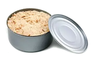 Tuna in oil in the kitchen: origins, nutritional value, and preparation