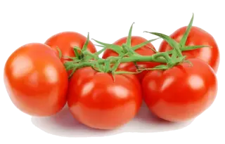 Image de vine tomato