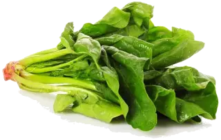 Image de spinach